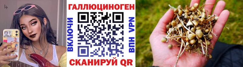 блэк спрут ссылки  Североуральск  Галлюциногенные грибы мицелий 
