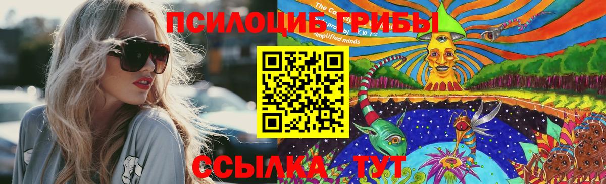Североуральск  Псилоцибиновые грибы прущие грибы  Вход с VPN 